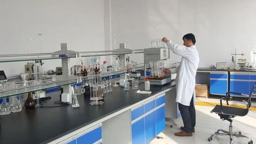 東營港經濟開發區 以企業技術改造為抓手，驅動產業轉型升級與技術開發新突破